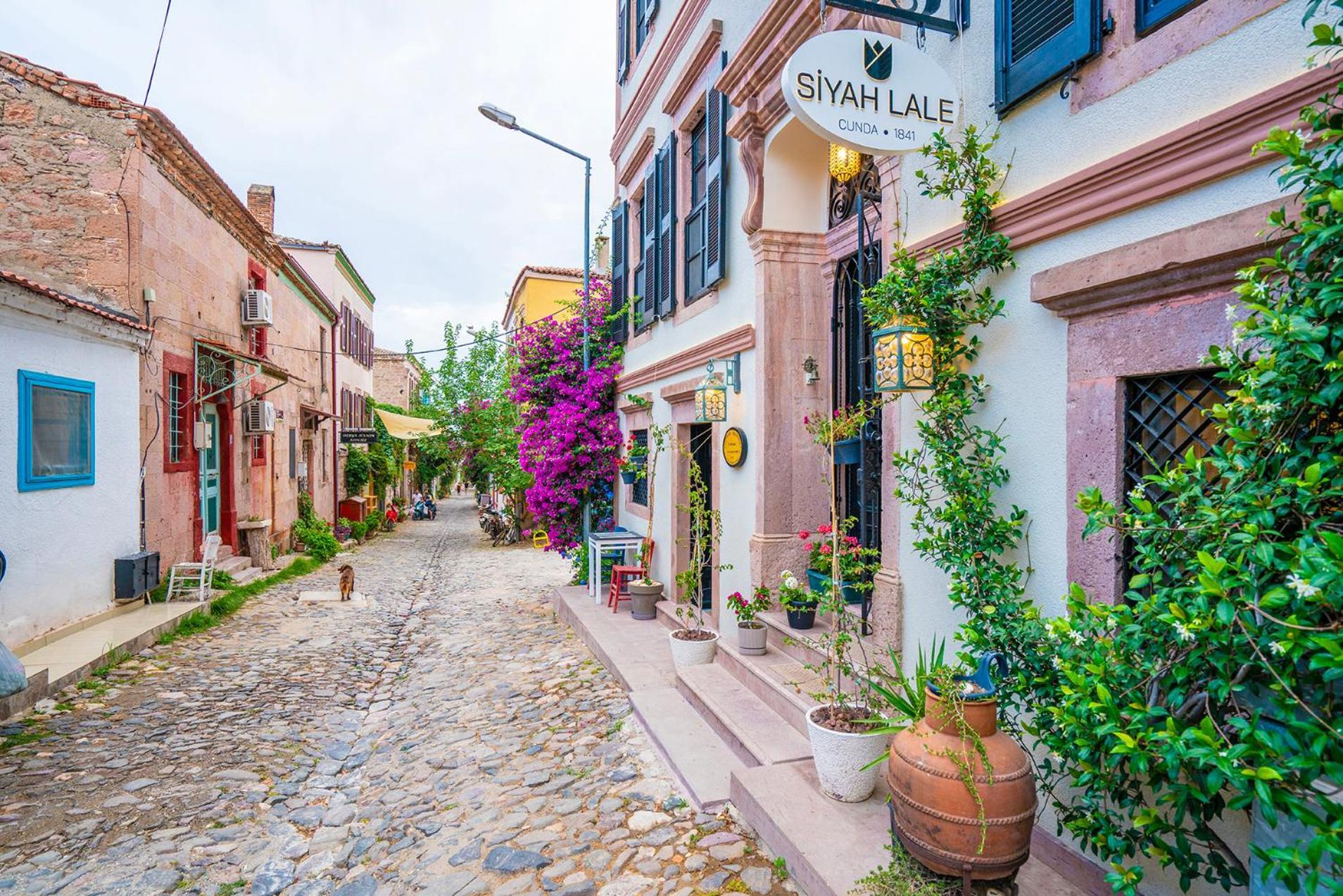 Siyah Lale Cunda 1841 (Adults Only) Ayvalik Exterior foto