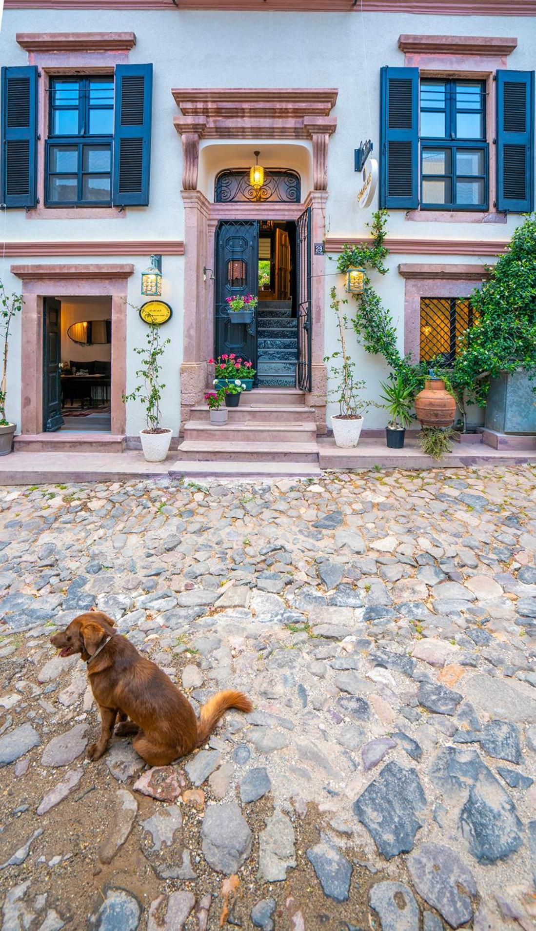 Siyah Lale Cunda 1841 (Adults Only) Ayvalik Exterior foto